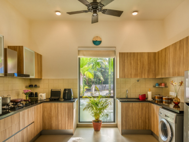 Sol Banyan 800x600 (3)