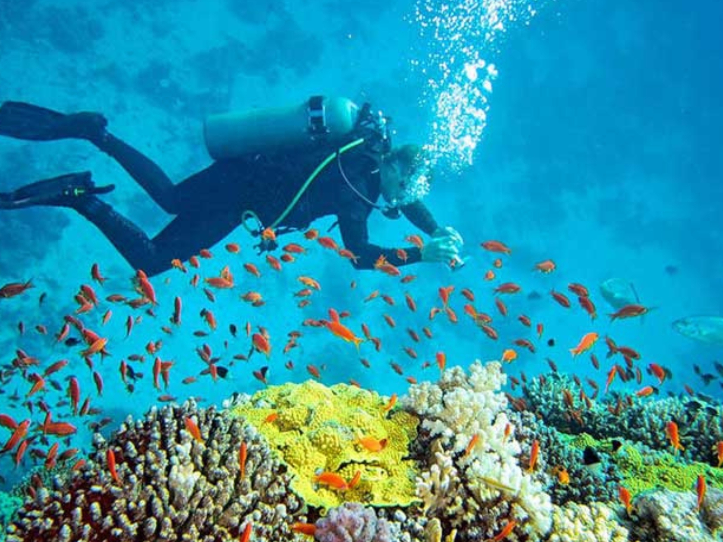 Andaman 8 (1)